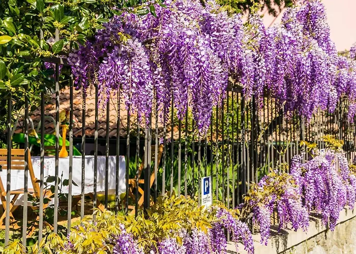 Il Glicine Molare Bed and breakfast